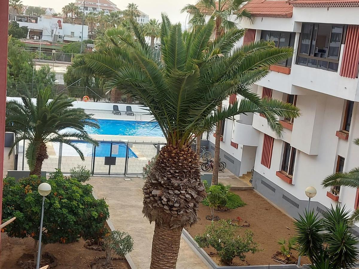Paraiso Altemar, Duplex Las Americas ปลายาเดลาสอเมริกาส ภายนอก รูปภาพ