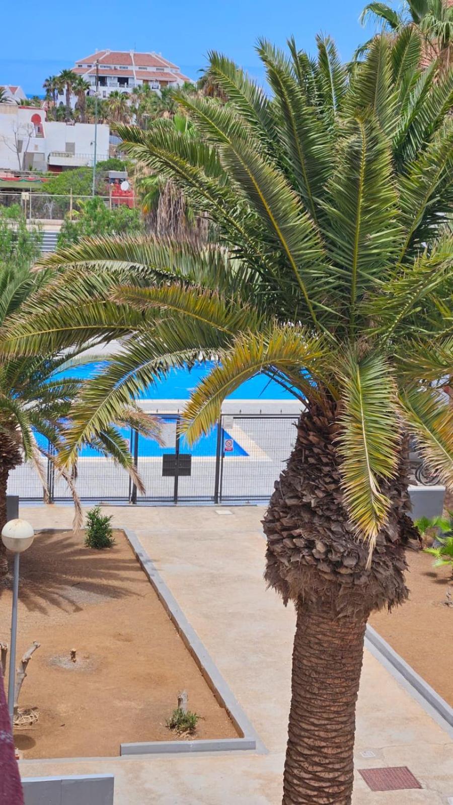 Paraiso Altemar, Duplex Las Americas ปลายาเดลาสอเมริกาส ภายนอก รูปภาพ